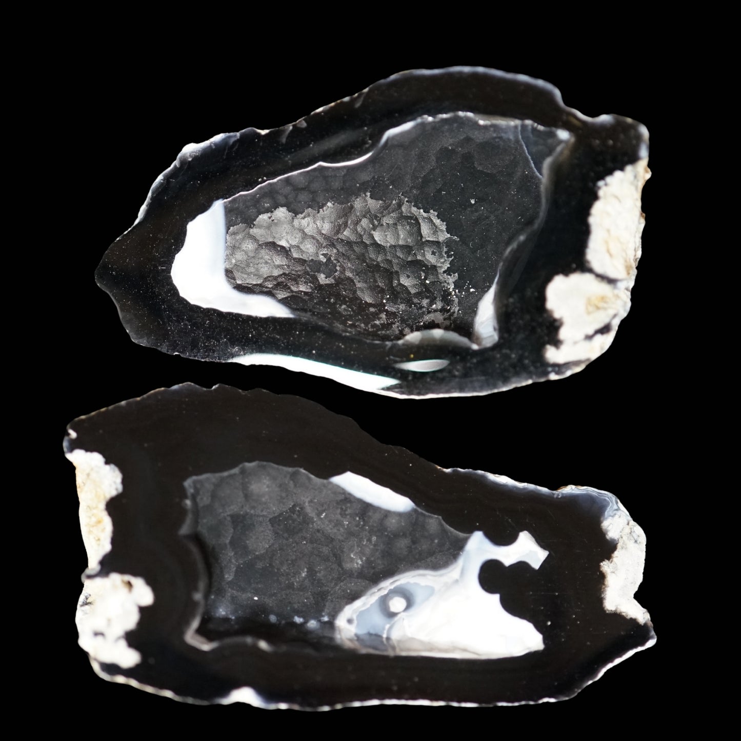 Polished Coral Geode/Fossil Pair