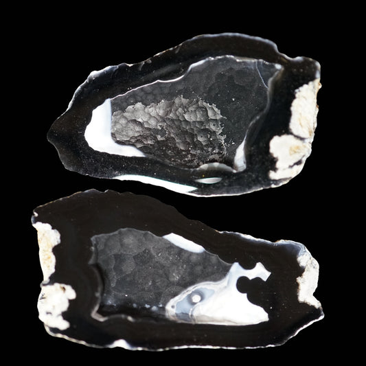 Polished Coral Geode/Fossil Pair