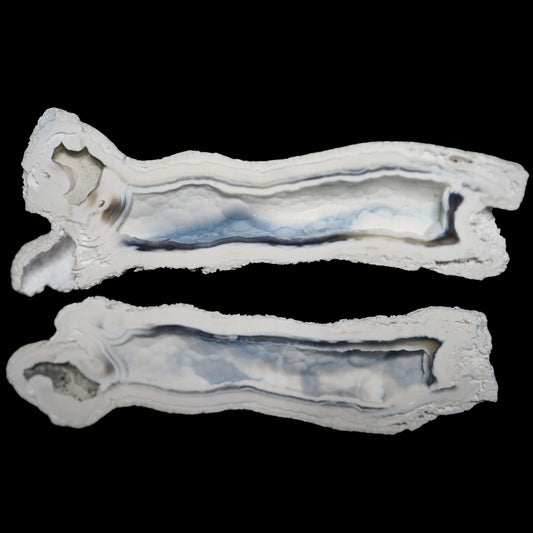 Polished Coral Geode/Fossil Pair